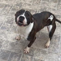 D 632cd698 b1f4 4c6c 9770 e5c044fa84d7