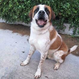 D cc58e678 3944 43d9 962f 47f442374b40