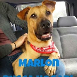 D 49643c60 3997 45e8 bccc 1c7600e5b518