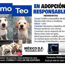 D 9e71470d e367 4ba4 9fcb ec1f6f059876