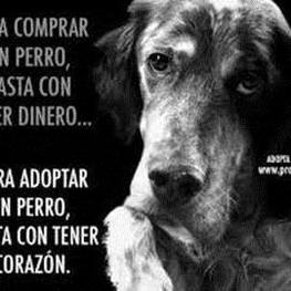 D a43fa137 e928 4605 bb0c 65bdba58a9d1