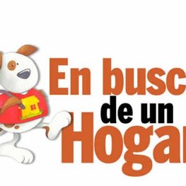 D 501031b5 9acf 452b bf0e 0517ad332f45