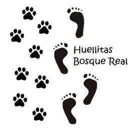 D 0f4609bd 23d9 4574 bfb9 e17f0c3eaed5