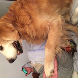 D 5ad8a4df e428 4f9d b69e 2d0964397f01