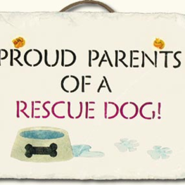 D 2ed42ac9 623e 4dc2 8448 d6a26dfe1ef1