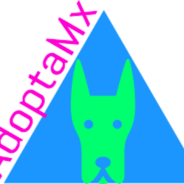 D 2eafb26f 8586 455d 826e f05a93d856dd