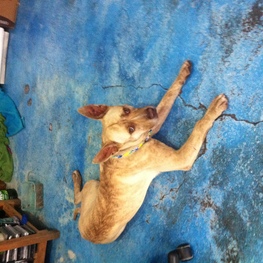 D c94a90fc 6229 4cdf 98c7 bb07af46d86e