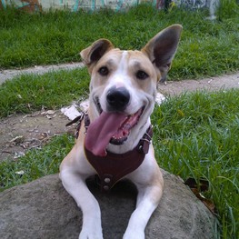 D 7eb9a02e 532e 4178 a98a ad28b248ef09