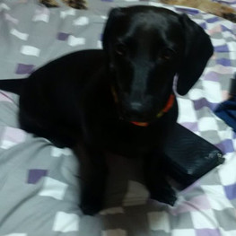 D d5552054 0681 4e30 9068 4ac52e4bf274