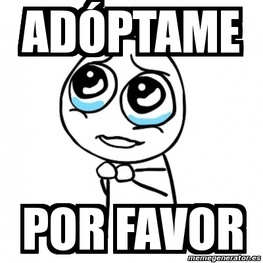 D 51b6f09f 6ccb 4ede b89d f9f994fec9e4