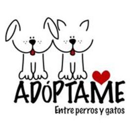 D c5f2b6c2 455d 4a4e aebd c37fd7429115