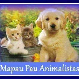 D 9e13c30d bb6c 4d43 a975 ae63106da462