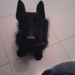 D 7cdd635d 4bcf 4631 a9fa 48763aeb8b7e