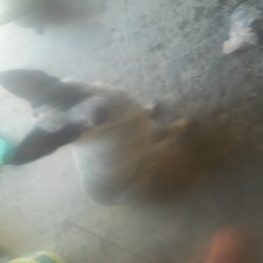 D 8ec27c56 49c0 4f6c 9937 0ba62133927f