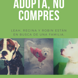 D eb9bc05d f34f 417b 91ad 11ba4faffd28