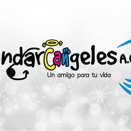 D 95358ec9 4609 4cbc b010 f5f1cdde834b