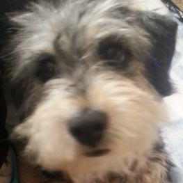 D 8f9014bb 0054 4c09 ab13 a918456d126e