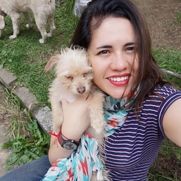 D b3dddf62 622d 4c49 934b 83d5f396f543