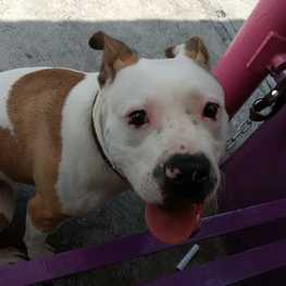 D eac92ec8 20ba 4ae4 9dbc 48c9ba0900dd