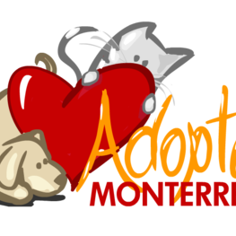 D 624e7426 1310 42e3 99fc 3b99407414e1