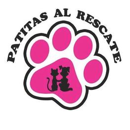 D b21111dd b6fb 4be2 9c42 bb123a0de750