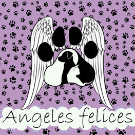 D 46be2794 961e 450d 91c3 357c6e493cf8