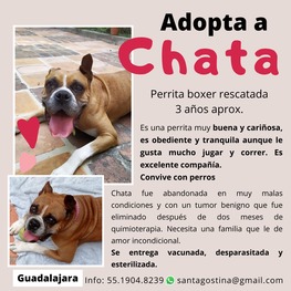 D 242d6ab8 56c4 4bb8 982b 153609ce12fc