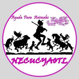 D 8777768e ad35 4426 bbcb 579106381afd