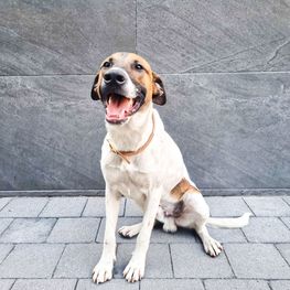 D 3381fb47 d471 488e 8bb1 ebda90554aef