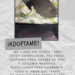 D 497bf54c 0e82 4774 a6b8 7bf28ffb2ec4