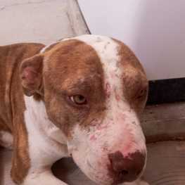 D eaac116e 13ab 4628 bbd2 a9fb302eac6c