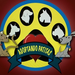 D 7e408b19 8012 475e 82b3 35691e331244